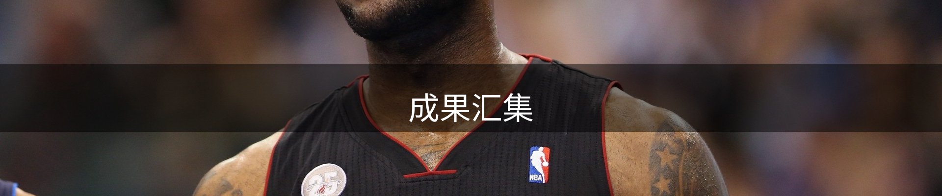 成果汇集